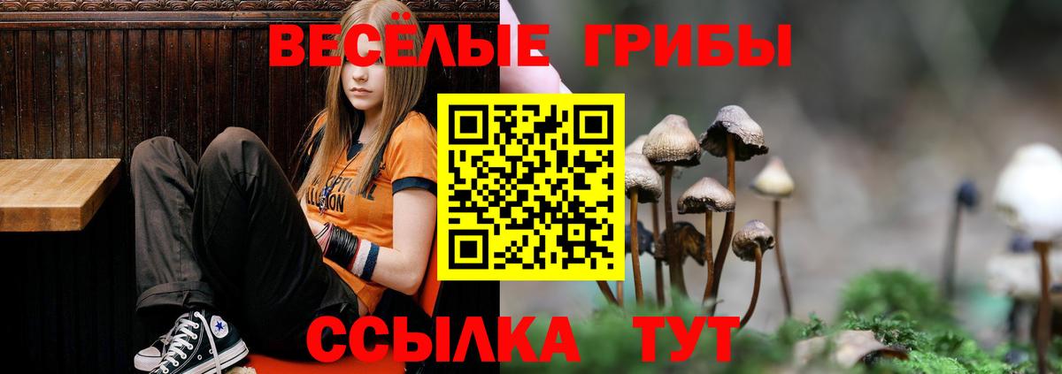 Арзамас  Галлюциногенные грибы Magic Shrooms  Галлюциногенные грибы Cubensis  Вход с VPN 